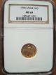 1995 $5 American Gold Eagle Ngc Ms - 69 (1/10 Oz) Brown Label & Ins Gold photo 1