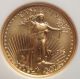 1995 $5 American Gold Eagle Ngc Ms - 69 (1/10 Oz) Brown Label & Ins Gold photo 4