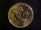 Canada Gold Maple Leaf $10 1/4 Oz Bu Sharp Coin 9999 Bullion Gold photo 3