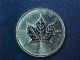 Canada Gold Maple Leaf $10 1/4 Oz Bu Sharp Coin 9999 Bullion Gold photo 5