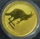 2013 Australian Kangaroo $2.  00 Gold Coin.  5 Grams Australia photo 3