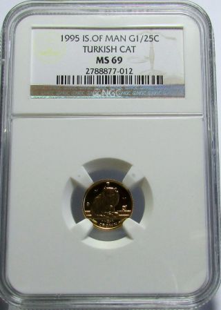 1995 Isle Of Man Gold 1/25c Turkish Cat Coin Ngc Ms69 Ms 69 - photo