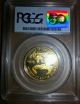 1993 - P $25 Gold Eagle 1/2 Oz Pcgs Proof Pr - 68 Dcam Key Date Gold photo 1
