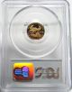 1992 - P $5 Gold American Eagle Gae 1/10 Oz.  Bullion Coin Pcgs Pr69 Dcam Pr 69 Gold photo 1