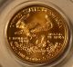 2001 1/10 Oz Gold American Eagle Coin - Brilliant Uncirculated - 1 Day Gold photo 1