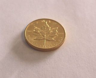 1oz Canadian Maple Leaf Gold Coin 31.  1g Ships photo