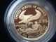 1989 - P American Eagle 1/4 Fine Gold $10.  00 Coin 