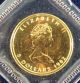 1982 Canadian 1/10th Oz.  Gold Maple Leaf Bu Coin Gold photo 1