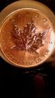 1985 Canadian $50 Gold Coin - Maple Leaf/elizabeth Ii - 1 Oz (. 9999) Fine Gold Gold photo 5