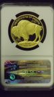 2013w Buffalo Ngc Pf70 Ultra Cameo Early Releases Gold $50 Gold photo 1