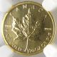 2013 Gold Canada Maple 1/20 Oz 9999 Fine Gold Ms69 Ngc Certified Gold photo 2