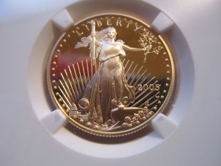 2005 W $25 American Gold Eagle,  Ngc Proof 70 Uc,  Low Mintage,  1/2 Oz. , photo