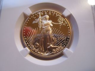 2002 W $25 American Gold Eagle,  Ngc Proof 70 Uc,  Low Mintage,  1/2 Oz. , photo