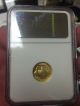 2008 W $5 Buffalo Gold 1/10 Oz.  9999 Gold,  Ngc Ms70 First Year Of Issue 3 Day Nr Gold photo 1