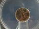 2009 $5 American Gold Eagle Anacs Ms69 First Strike (rare) Gold photo 2