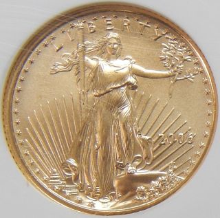 Ngc Ms 70 2006 1/10 Oz American Gold Eagle $5 Age C495 photo
