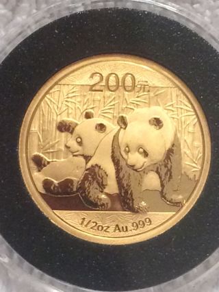 2010 1/2oz Chinese Gold Panda.  999 Fine Gold Coin - photo