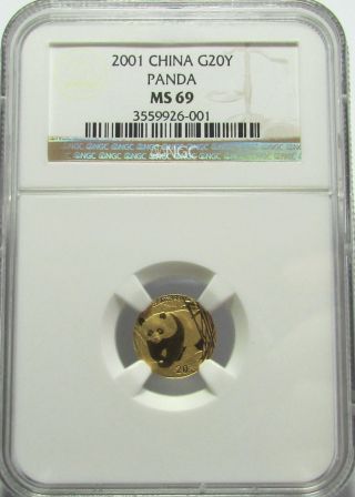 2001 Gold China Panda 1/20 Oz.  20 Yuan Bullion Coin Ngc Ms69 Ms 69 - Brown Label photo