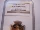 2002 W $10 American Gold Eagle,  Ngc Proof 70 Uc,  Low Mintage,  1/4 Oz. , Gold photo 2