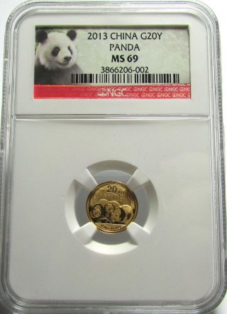 2013 Gold China Panda 1/20 Oz.  20 Yuan Bullion Coin Ngc Ms69 Ms69 - Panda Label photo