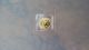 1/10 Oz.  2005 $5 Canadian Gold Coin.  9999 Fine Gold Gold photo 1