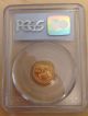 2003 Pcgs Ms 69 $5 Gold American Eagle 1/10 Ounce Gold photo 1
