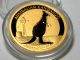 2012 Australian Gold Kangaroo 1/10 Oz 9999 Gold Uncirculated Bu Coin Australia photo 2