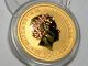 2012 Australian Gold Kangaroo 1/10 Oz 9999 Gold Uncirculated Bu Coin Australia photo 4