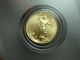 2003 American Eagle Five Dollar 1/10 Oz.  Gold Coin $5 Five Dollar Coin Gold photo 1