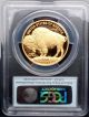 2013 W $50 Gold Buffalo 1oz.  999 Gold Pgcs Pf70 D Cam First Strike Gold photo 1