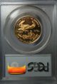 1999 - W $25 American Gold Proof Eagle One Half Troy Ounce Pcgs Pr69dcam Gold photo 1