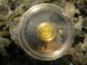 Uncirculated 1980 - 2005 South Africa Gold Krugerrand Commemorative Proof 1/2 G Gold photo 1