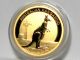 2012 Australian Gold Kangaroo 1/10 Oz 9999 Gold Uncirculated Bu Coin 1 Day Auct. Gold photo 2