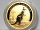 2012 Australian Gold Kangaroo 1/10 Oz 9999 Gold Uncirculated Bu Coin 1 Day Auct. Gold photo 4
