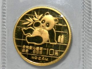 1989 1/10oz Gold Chinese Panda,  10 Yuan,  Plastic Large Date photo