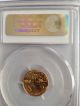 1991 American Gold Eagle Coin 1/10oz Pcgs Ms 69 Gold photo 1
