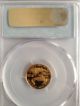 1995 - W American Gold Eagle Coin 1/10oz Pcgs Pr69dcam Gold photo 1