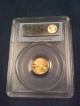 2007w $5 Gold Eagle (1/10th Ounce) Pcgs Pr 69 First Strike Gold photo 1