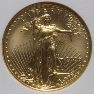 2006 W $25 Burnished West Point Gold Eagle Ngc Ms 70 Low Mintage Nr 01189587b photo