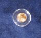 2007 1/10 Oz.  Gold Eagle $5.  00 Coin - Uncirculated - Gold photo 2