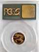 1995 - W American Gold Eagle Coin 1/10oz Pcgs Pr68 Gold photo 1