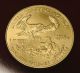 (1) 2003 $25 1/2 Oz.  999 Gold American Eagle Coin Gold photo 4