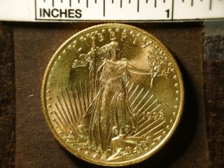 1998 American Eagle Half Ounce Gold $25 1/2 Ounce Gold 2312 photo