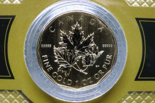 2007 Canadian 1oz 99999 5 - 9s Fine Gold Maple Leaf photo