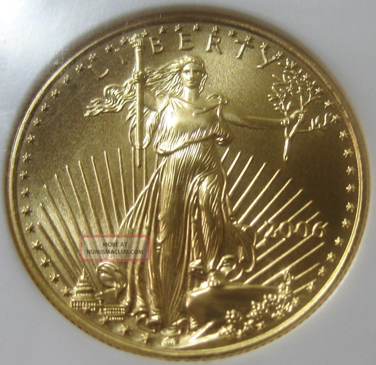 2006 $25 1/2oz Gold American Eagle Ngc Ms70 Certified Coin