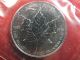 A 2007 Canadian Maple Leaf Fifty Dollar Palladium One Ounce Troy Coin Bullion photo 3