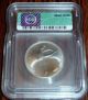 1991 10 Roubles Coin 100 Palladium 1/2 Oz Icg Ms67 Bullion photo 1