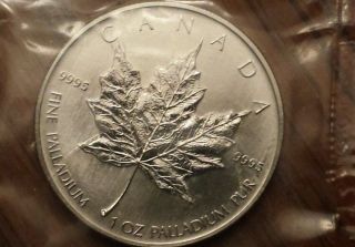1oz 2005 Candian Palladium Coin photo