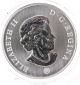 2006 Canada Big & Little Bear Constellations $50 Palladium Coin,  Coano Reserve Bullion photo 1