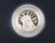 2005 W $5 1/10 Oz 9995 Platinum American Eagle Proof Coin,  Ogp Semi Key Date Platinum photo 3